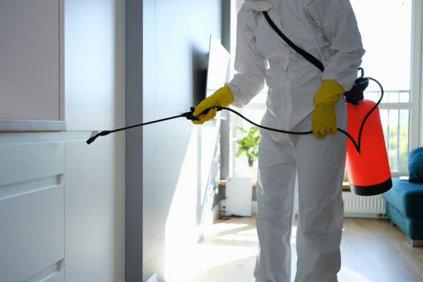 Best Professional Mold Removal  in Lake Royale, NC